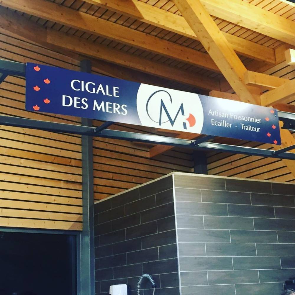 73420146_561551284600743_3540504196537137292_n